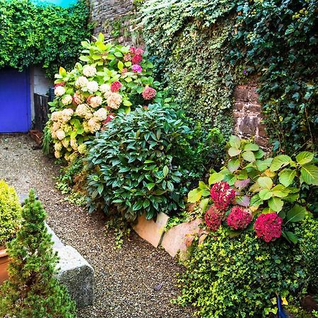 Byrnes Wine Dine Stay Ennistimon Ngoại thất bức ảnh