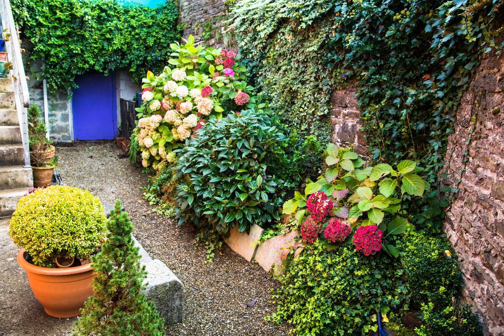 Byrnes Wine Dine Stay Ennistimon Ngoại thất bức ảnh